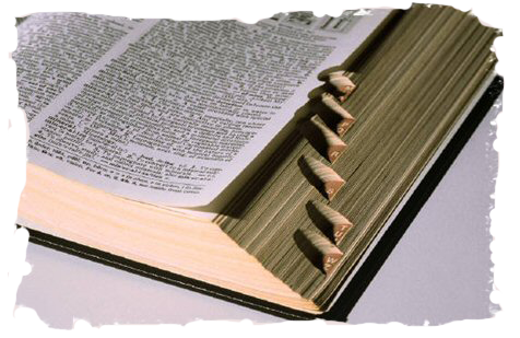 FFArmory Glossary of Terms
